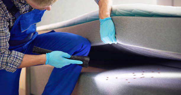 Best Emergency Pest Control  in Carrabelle, FL