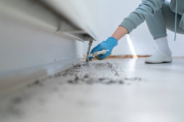 Best Residential Pest Control  in Carrabelle, FL